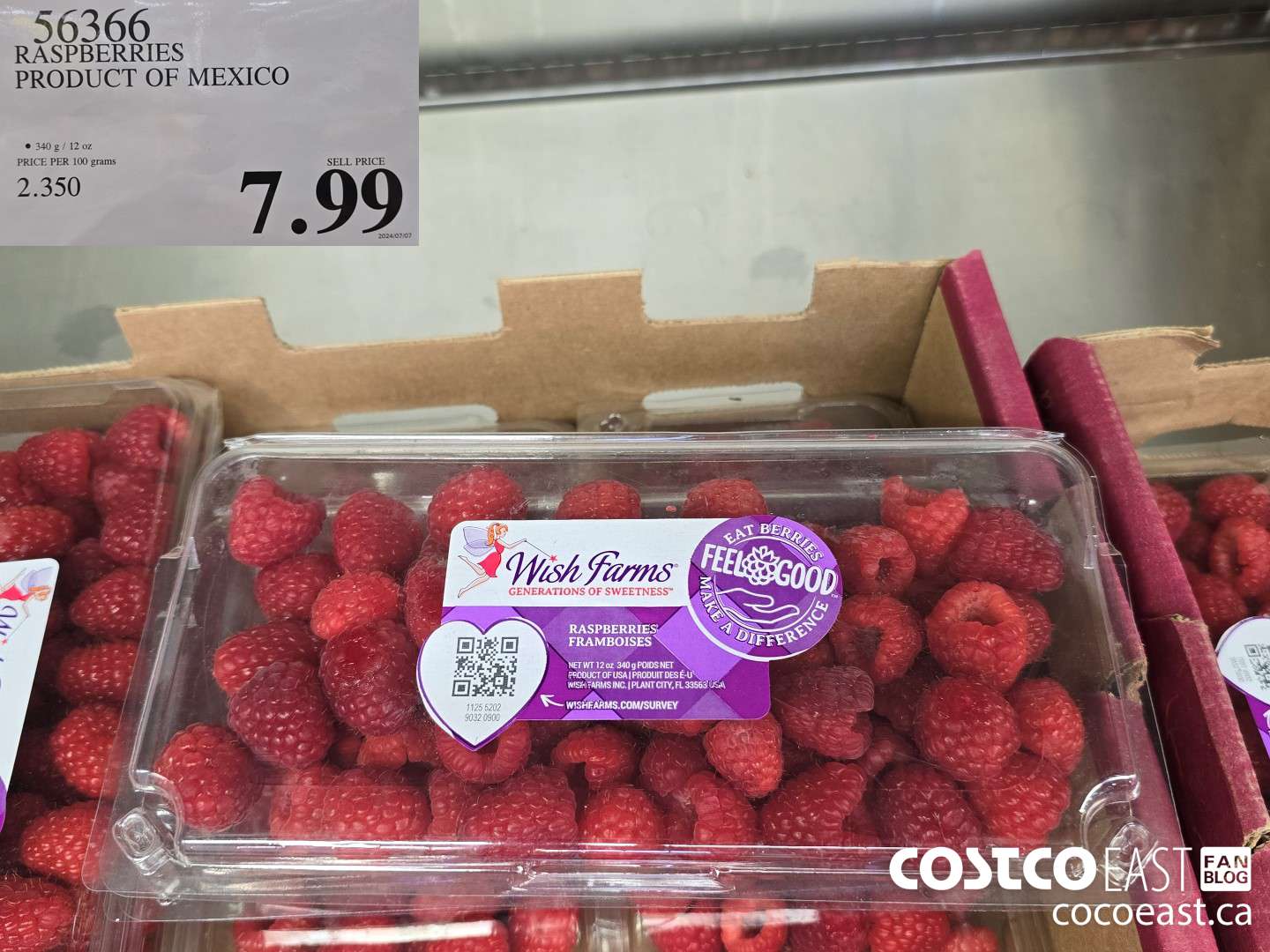56366 RASPBERRIES PRODUCT OF MEXICO $7.99