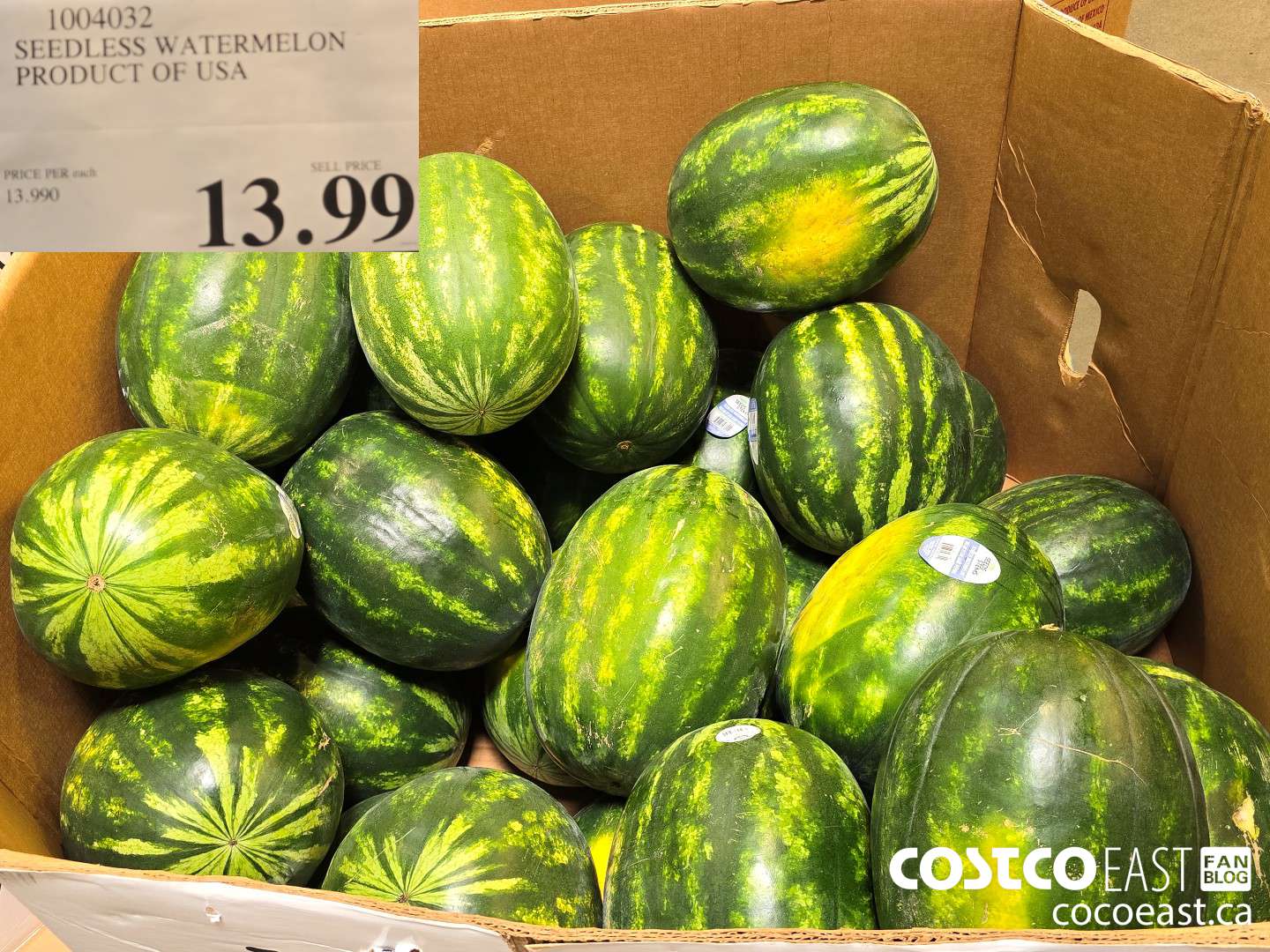 1004032 SEEDLESS WATERMELON PRODUCT OF USA $13.99