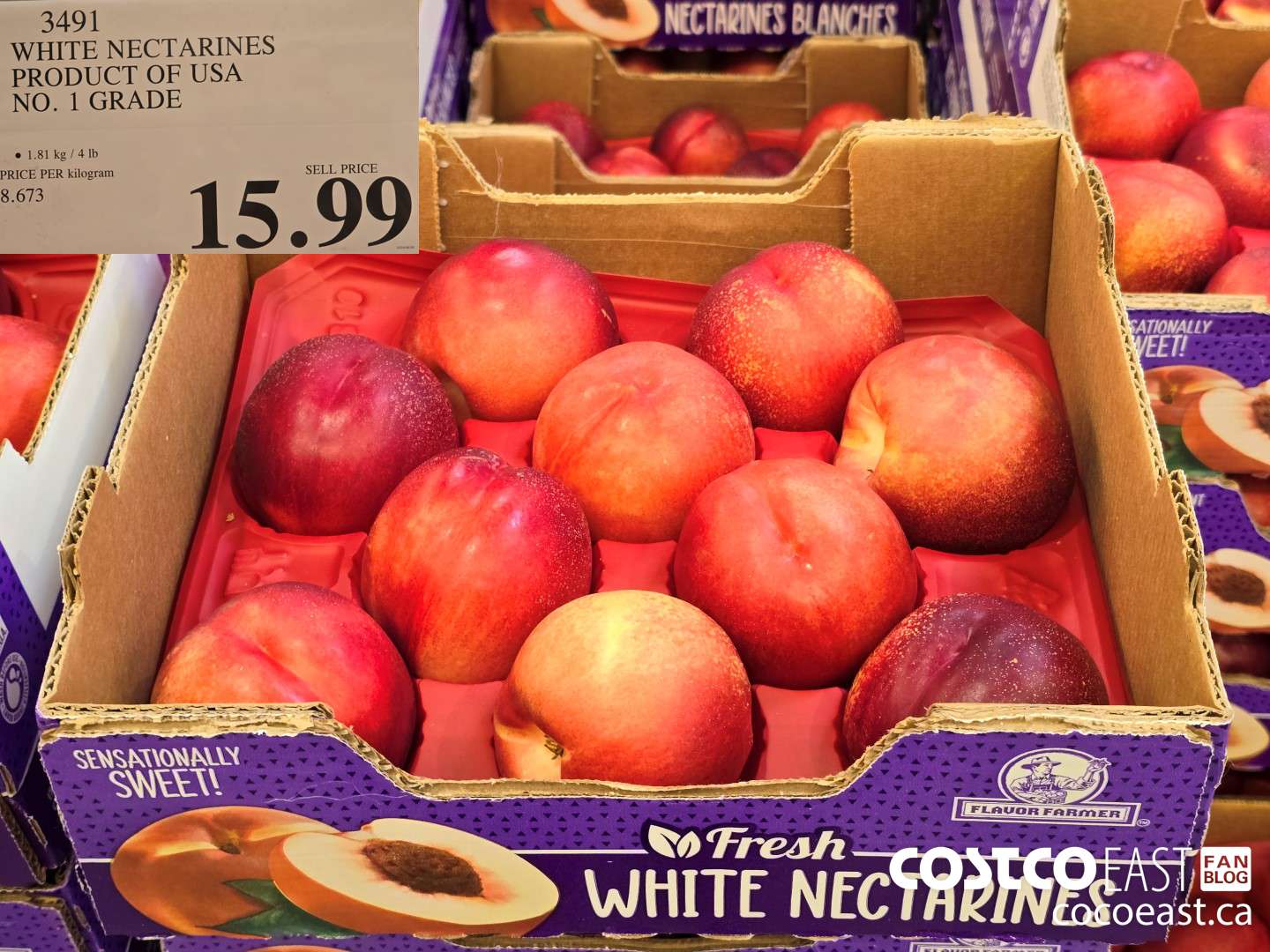3491 WHITE NECTARINES PRODUCT OF USA NO. 1 GRADE $15.99