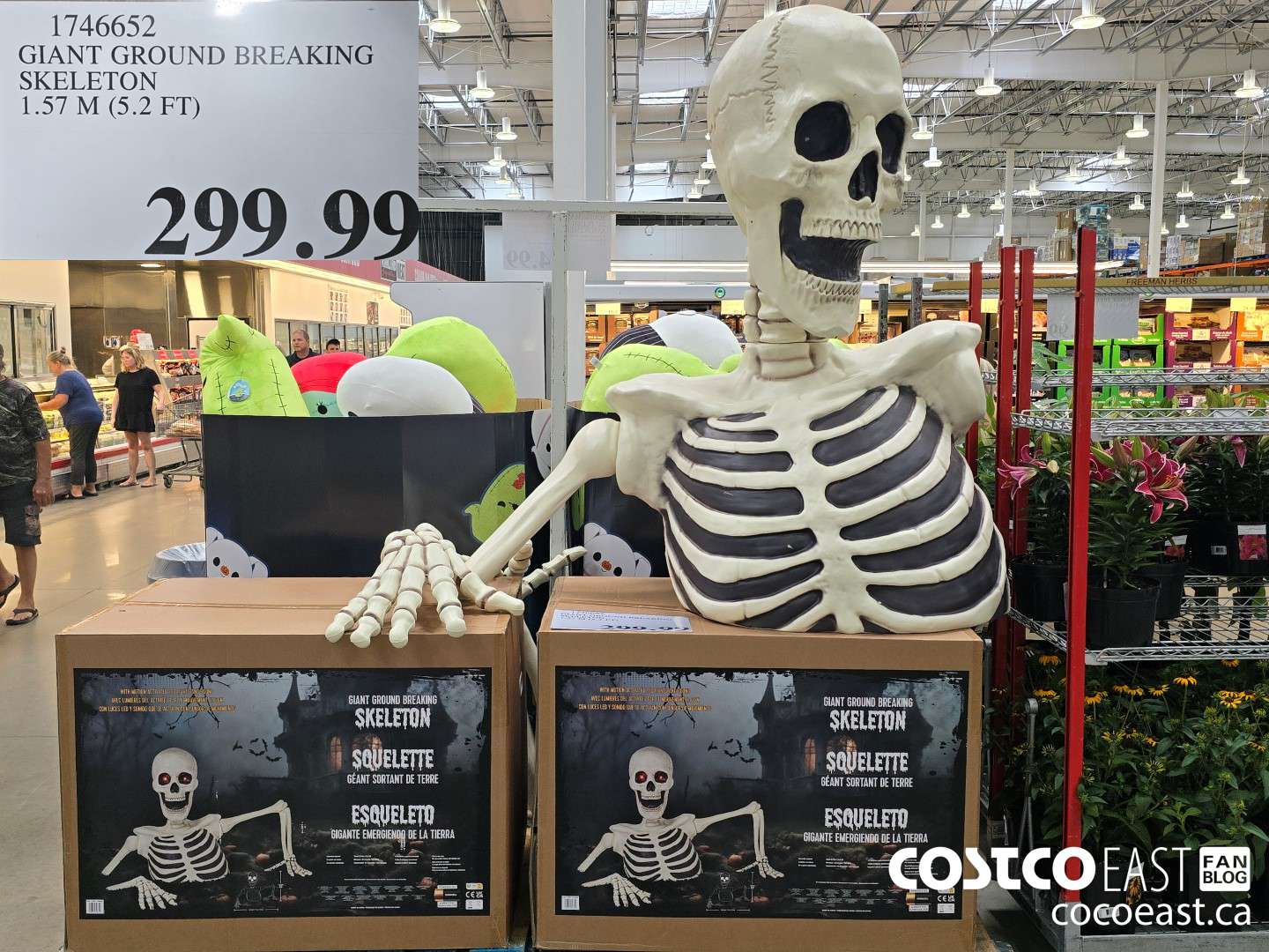 1746652 GIANT GROUND BREAKING SKELETON 1.57 M (5.2 FT) $299.99