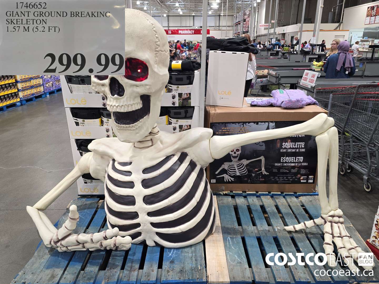 1746652 GIANT GROUND BREAKING SKELETON 1.57 M (5.2 FT) $299.99
