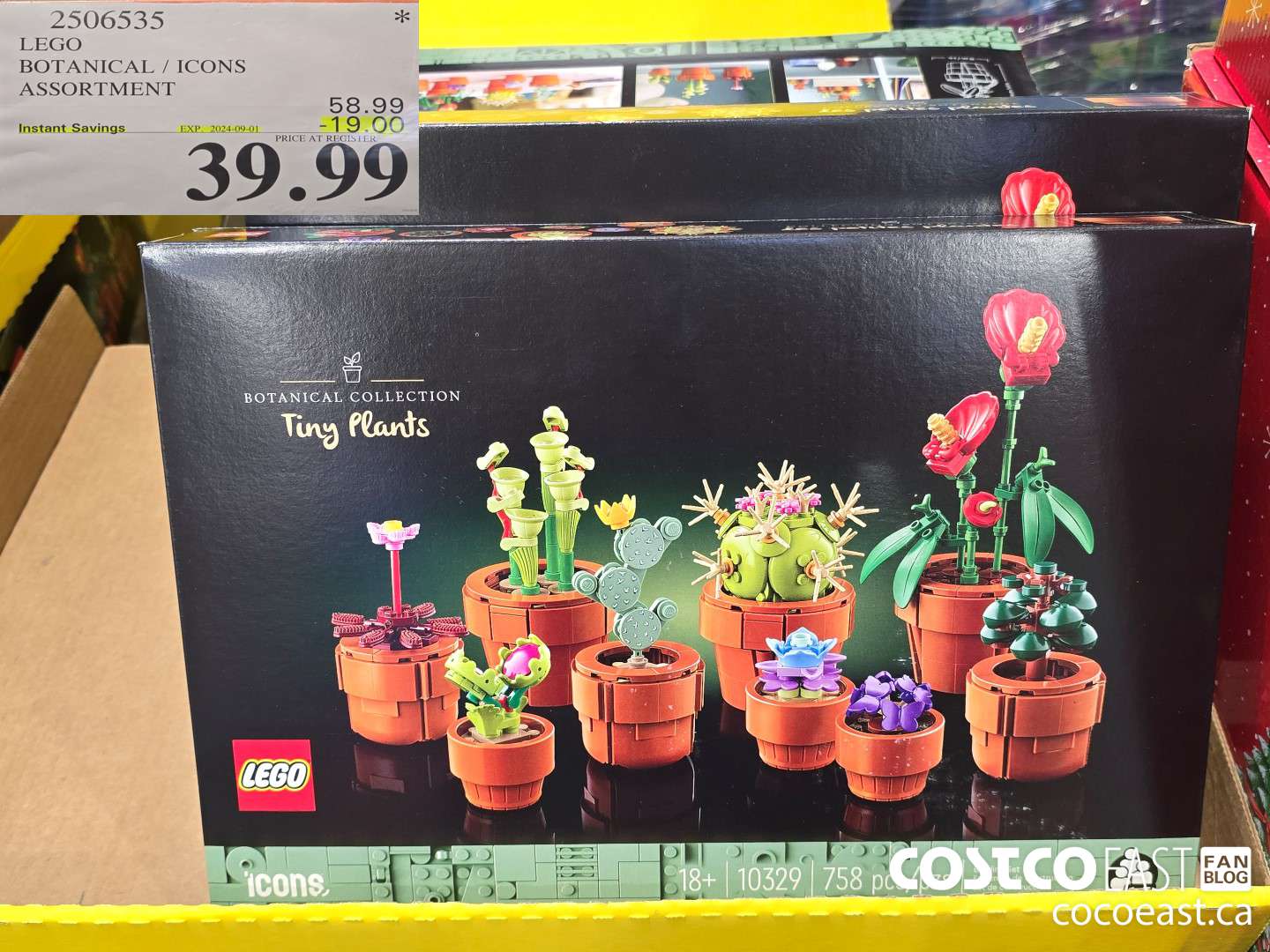 2506535 LEGO BOTANICAL / ICONS ASSORTMENT ($19.00 INSTANT SAVINGS EXPIRES ON 2024-09-01) $39.99