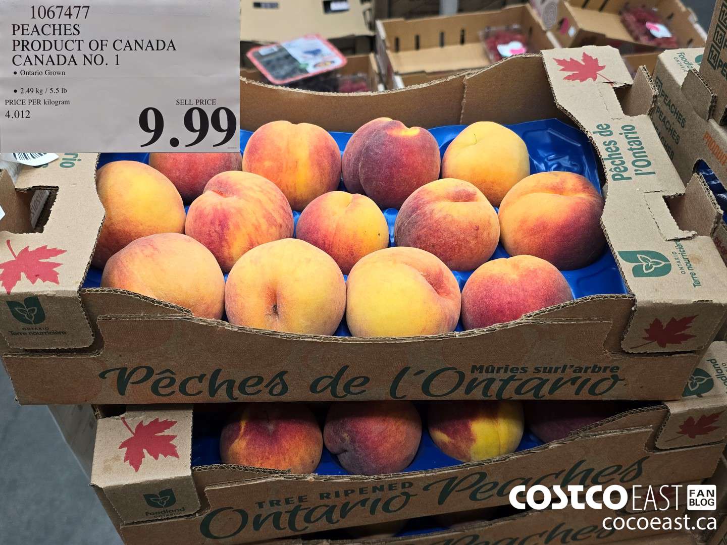 1067477 PEACHES PRODUCT OF CANADA CANADA NO. 1 $9.99