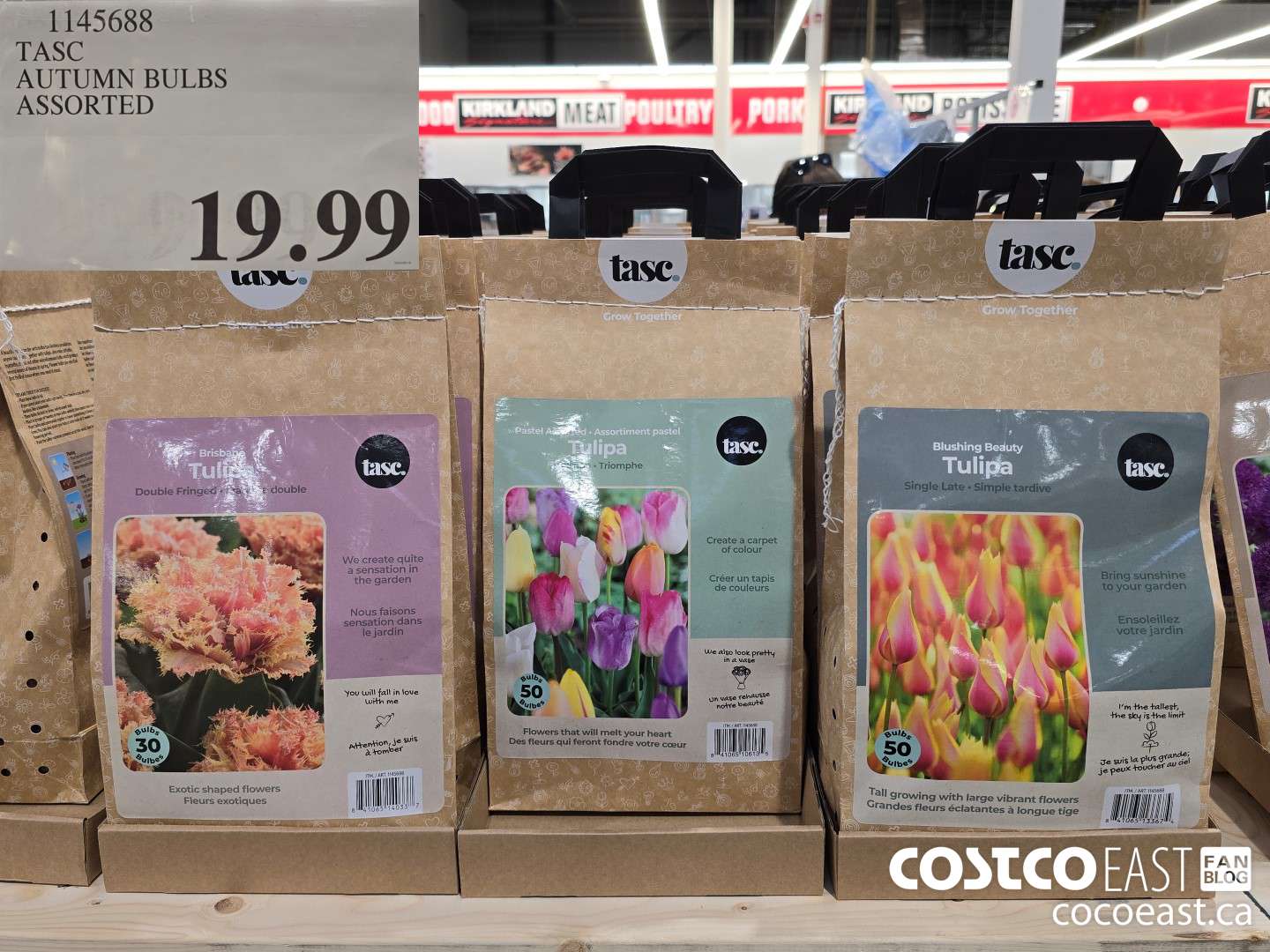 1145688 TASC AUTUMN BULBS ASSORTED $19.99