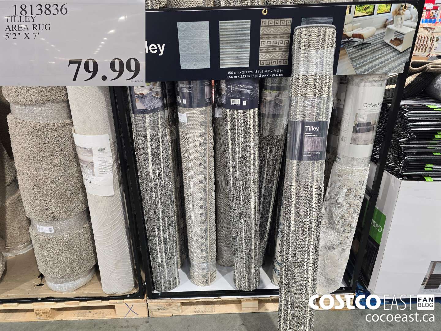 1813836 TILLEY AREA RUG 5'2