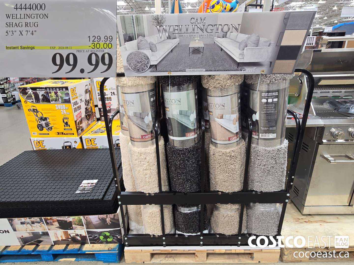 4444000 WELLINGTON SHAG RUG 5'3