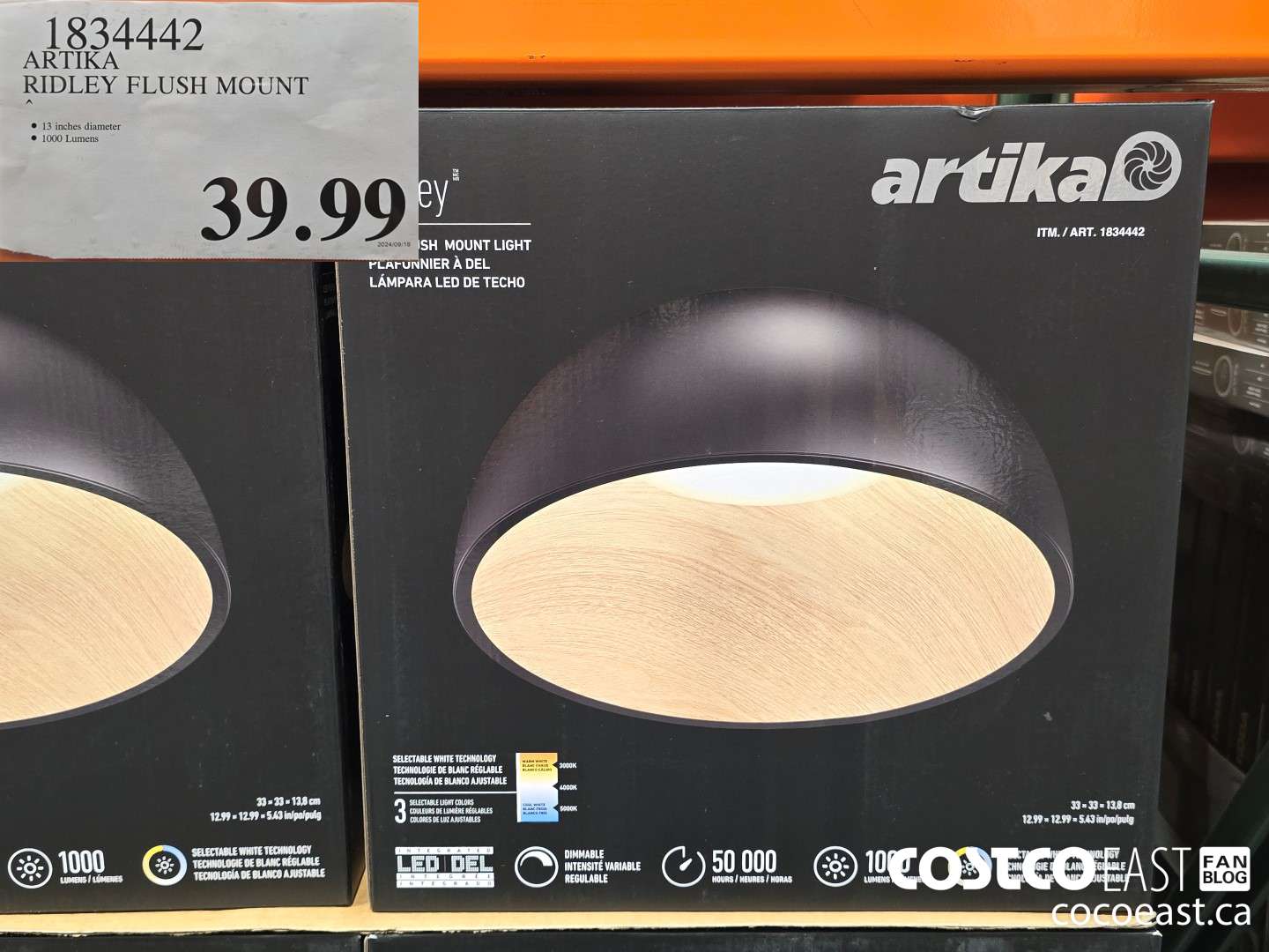 1834442 ARTIKA RIDLEY FLUSH MOUNT $39.99