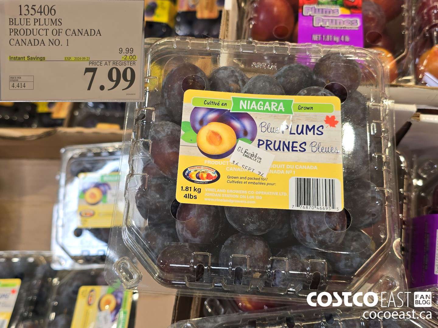 135406 BLUE PLUMS PRODUCT OF CANADA CANADA NO. 1 ($2.00 INSTANT SAVINGS EXPIRES ON 2023-09-23) $7.99