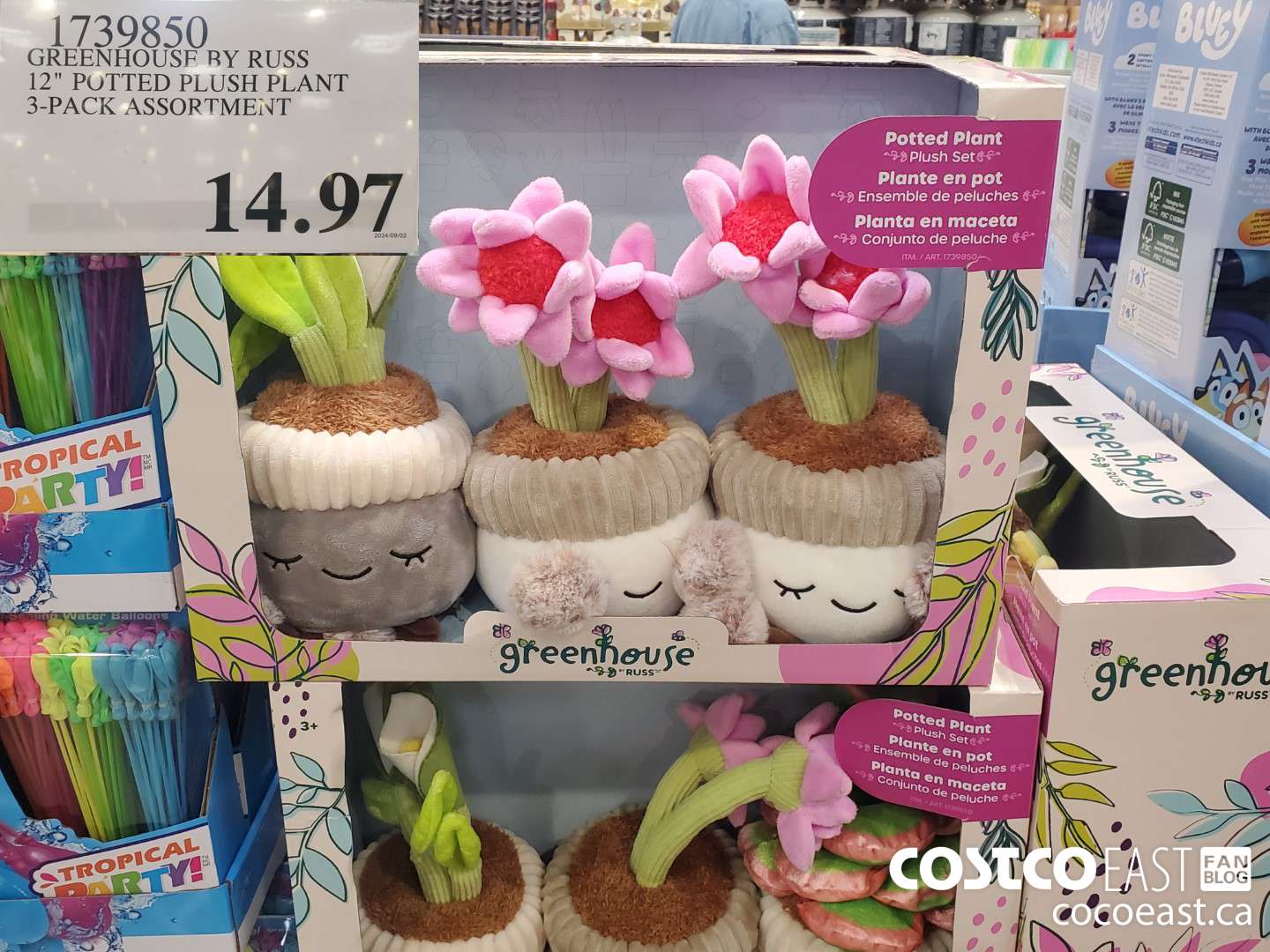 1739850 GREENHOUSE BY RUSS 12