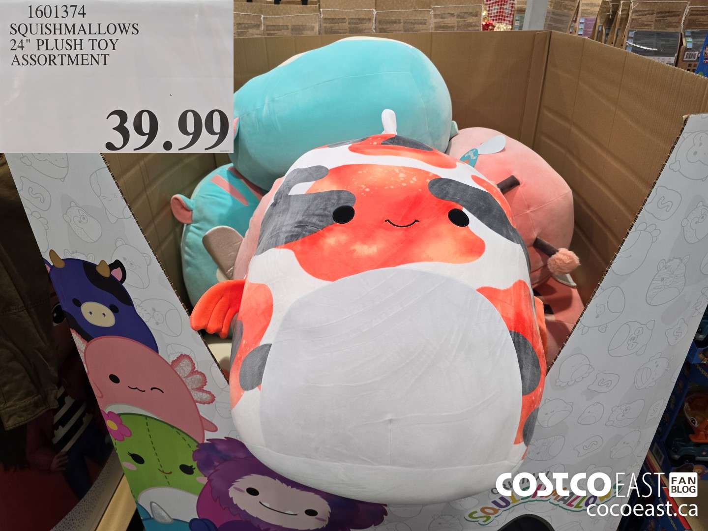 1601374 SQUISHMALLOWS 24