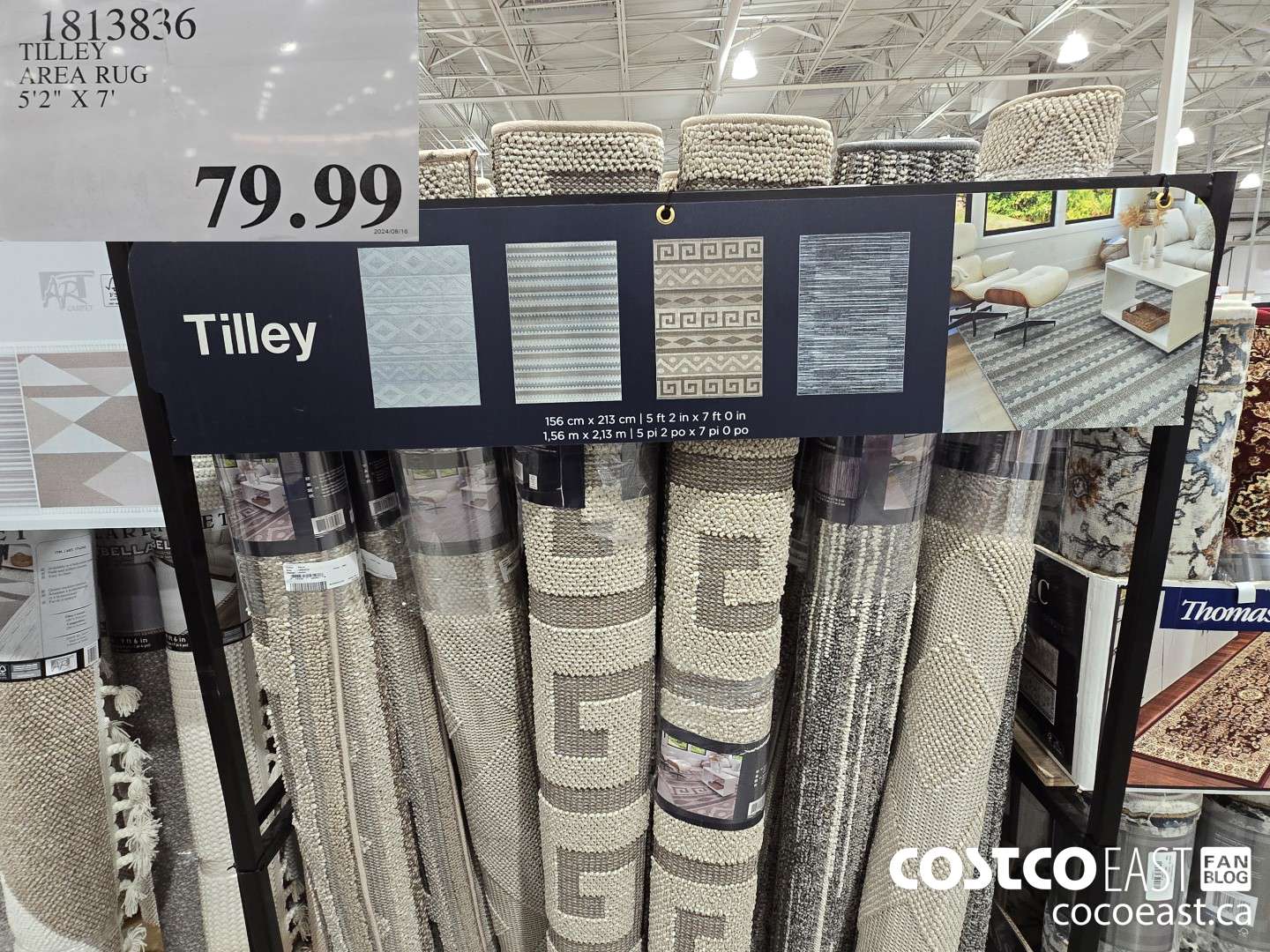 1813836 TILLEY AREA RUG 5'2