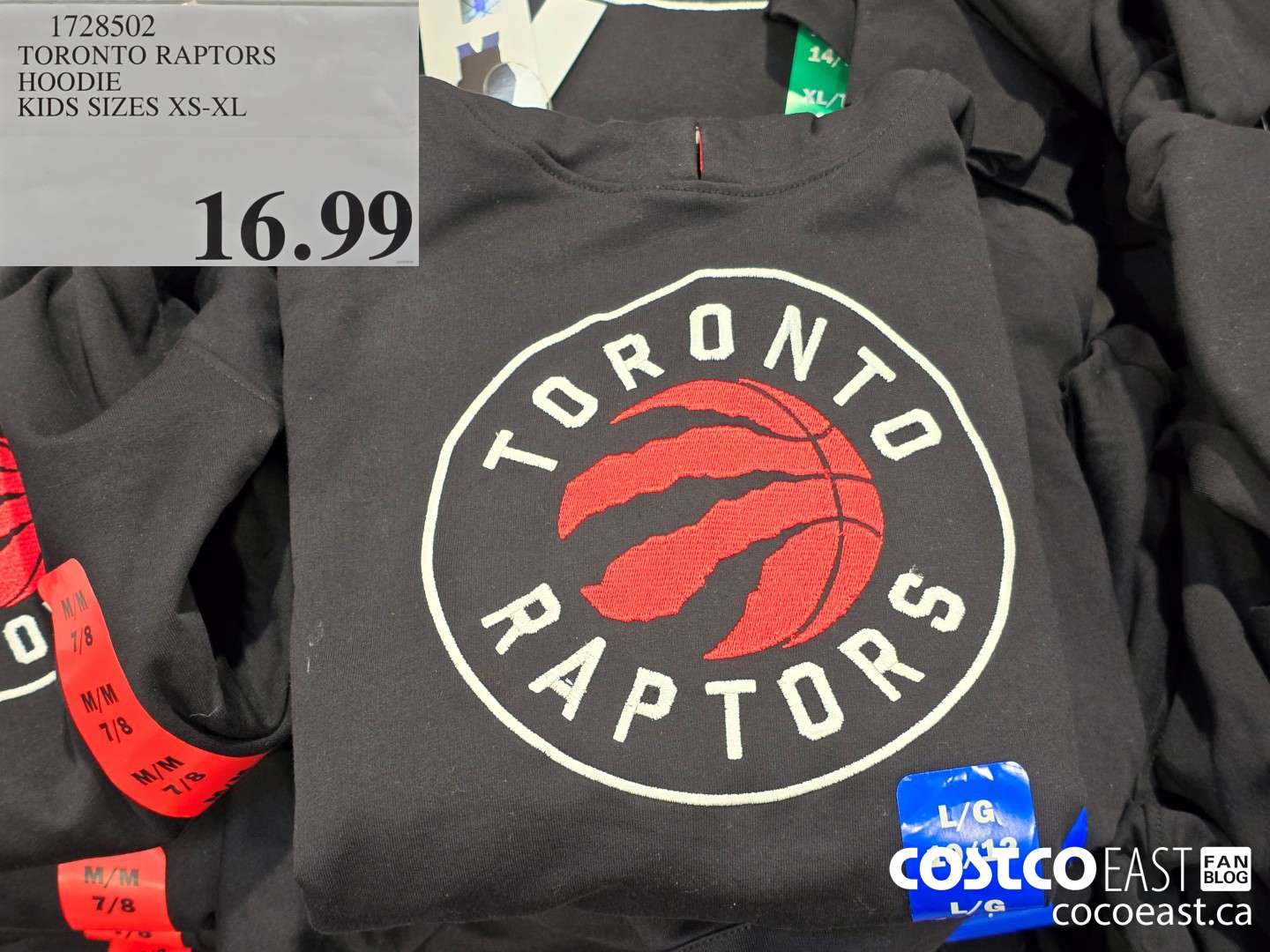1728502 TORONTO RAPTORS HOODIE KIDS SIZES XS-XL $16.99