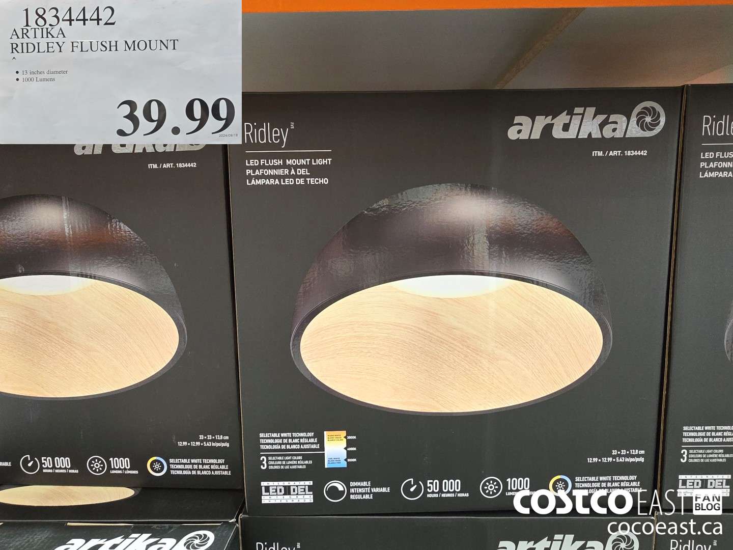 1834442 ARTIKA RIDLEY FLUSH MOUNT $39.99