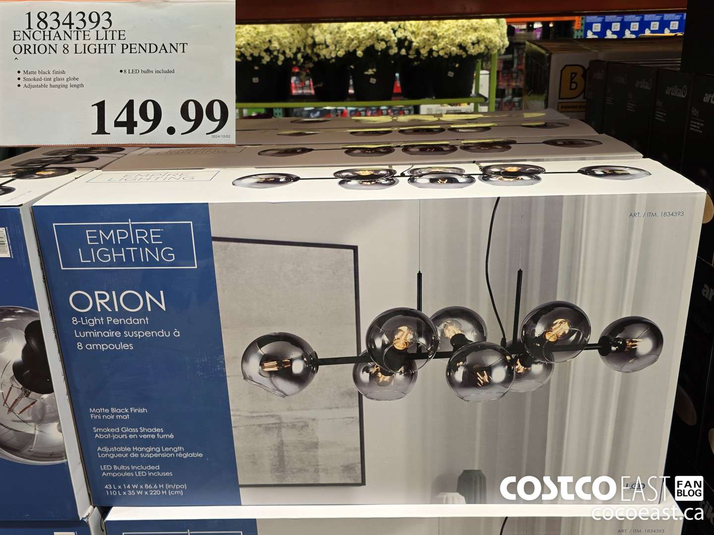 1834393 ENCHANTE LITE ORION 6 LIGHT PENDANT $149.99
