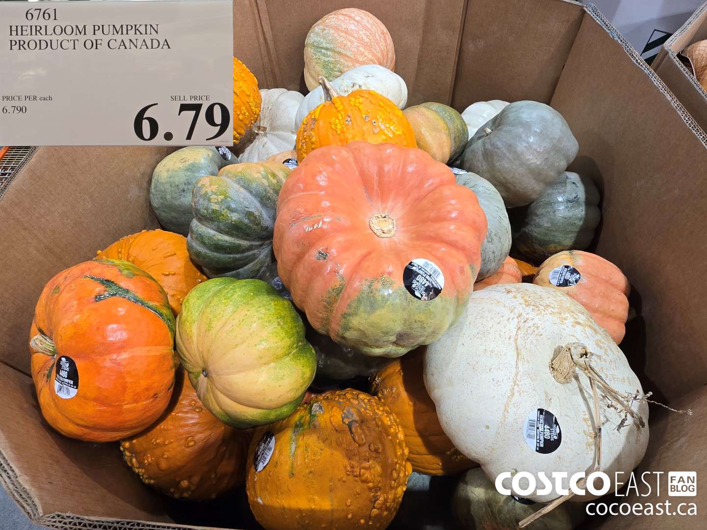 6761 HEIRLOOM PUMPKIN PRODUCT OF CANADA $6.79