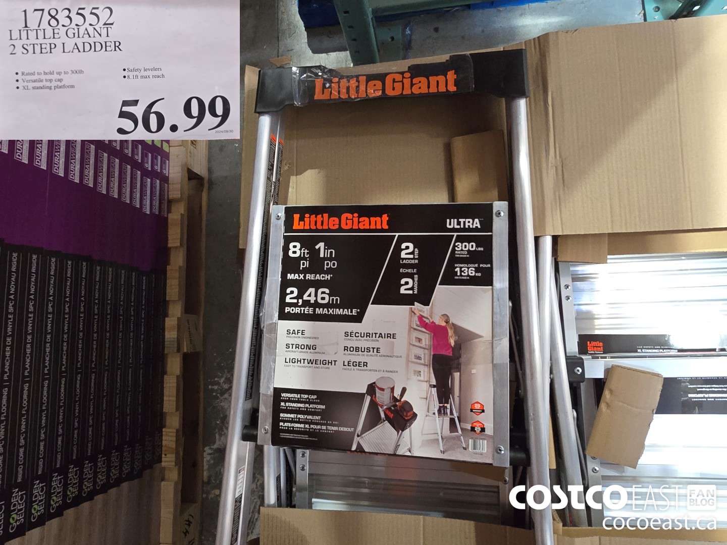 1783552 LITTLE GIANT 2 STEP LADDER $56.99