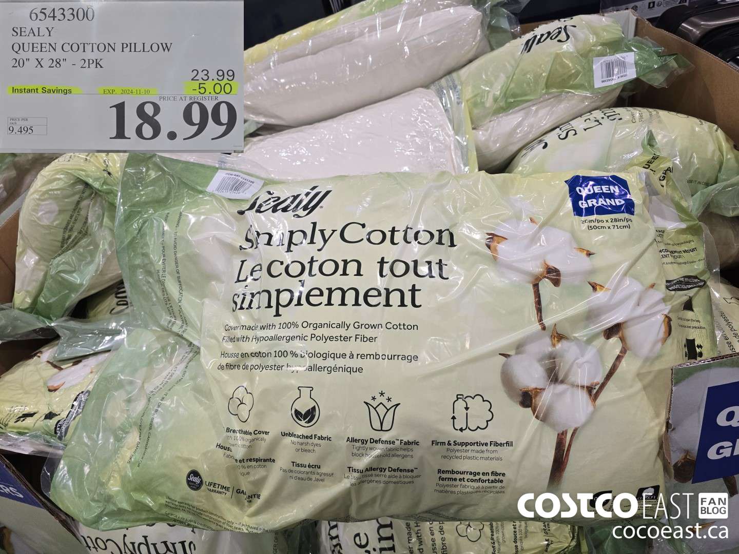 6543300 SEALY QUEEN COTTON PILLOW 20