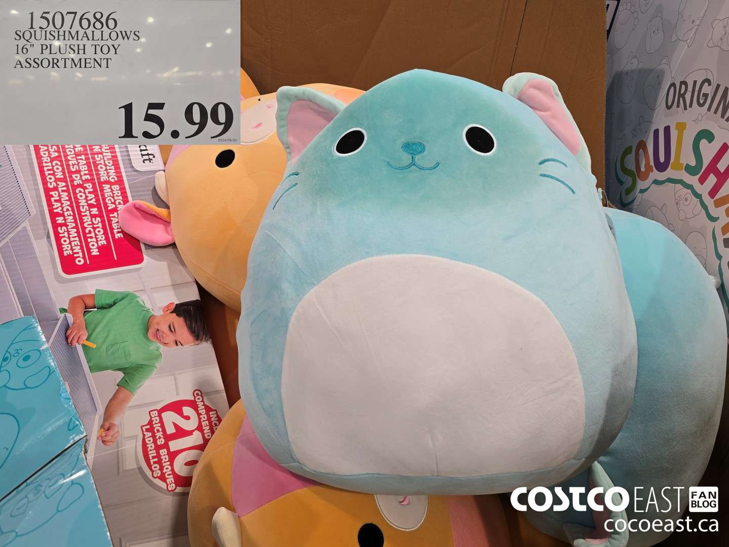 1507686 SQUISHMALLOWS 16