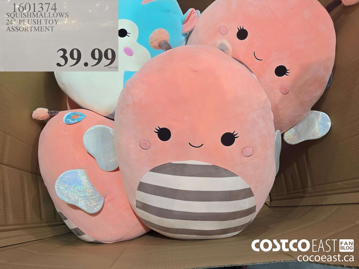 1601374 SQUISHMALLOWS 24