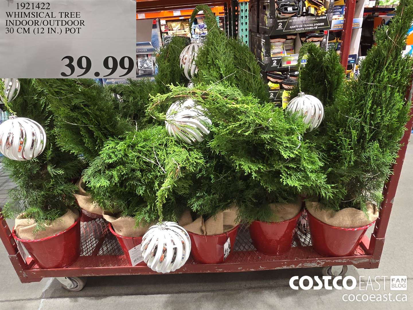 1921422 WHIMSICAL TREE INDOOR/OUTDOOR 30 CM (12 IN.) POT $39.99