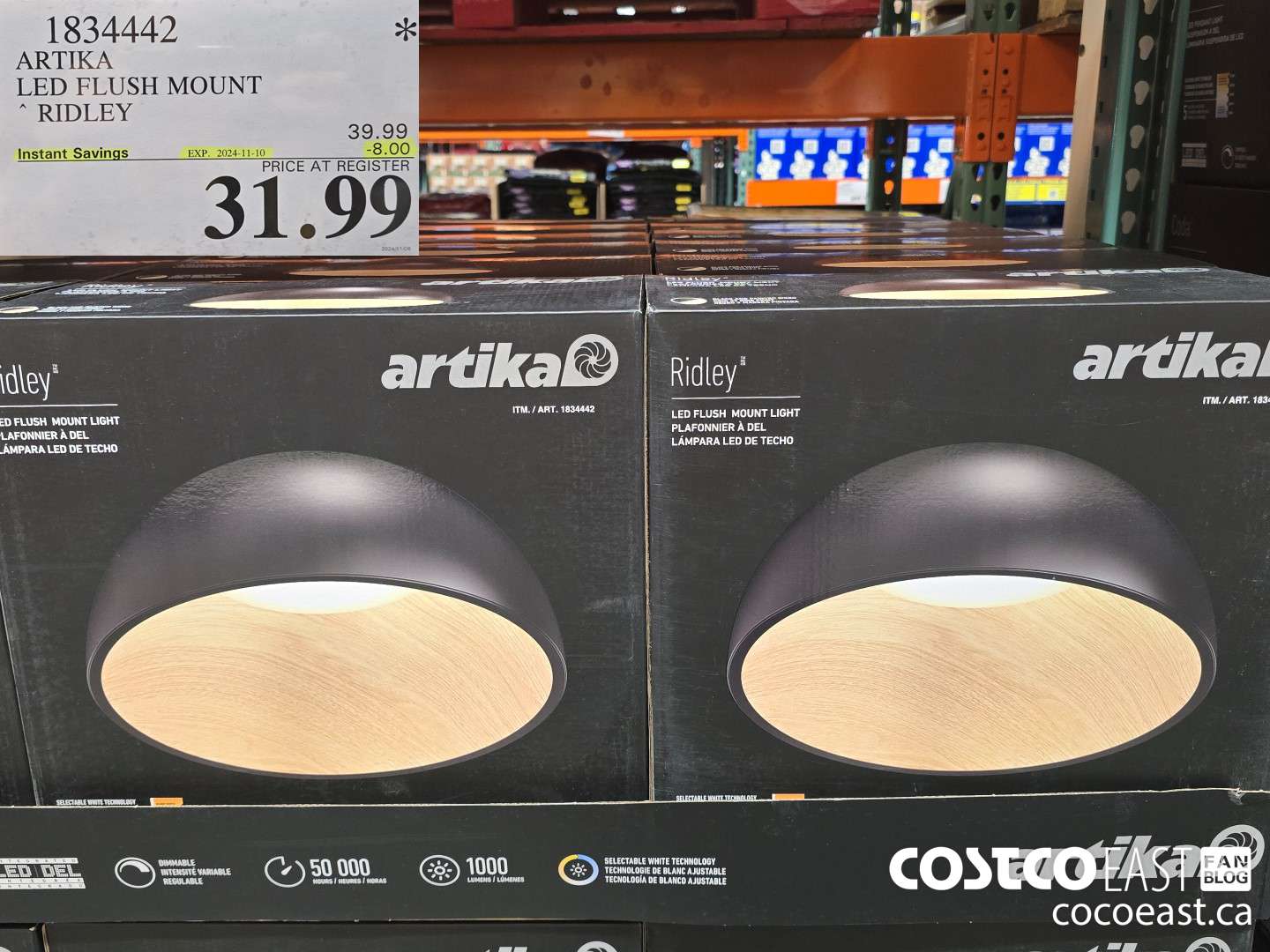 1834442 ARTIKA RIDLEY FLUSH MOUNT ($8.00 INSTANT SAVINGS EXPIRES ON 2024-11-10) $31.99