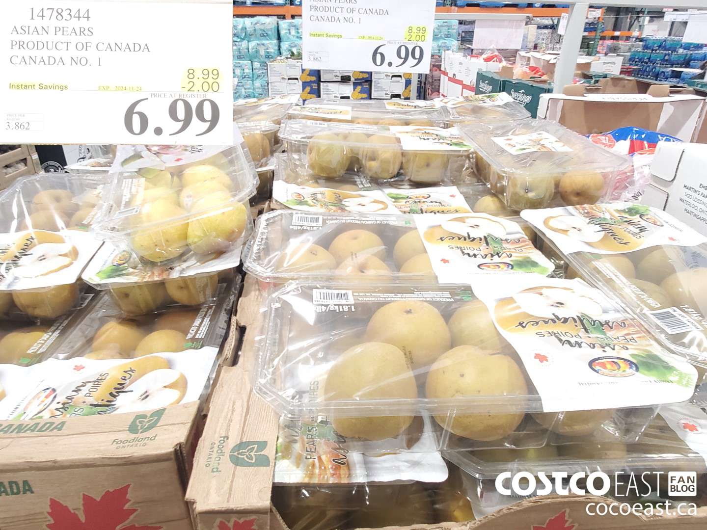 1478344 ASIAN PEARS PRODUCT OF CANADA CANADA NO. 1 ($2.00 INSTANT SAVINGS EXPIRES ON 2024-11-24) $6.99