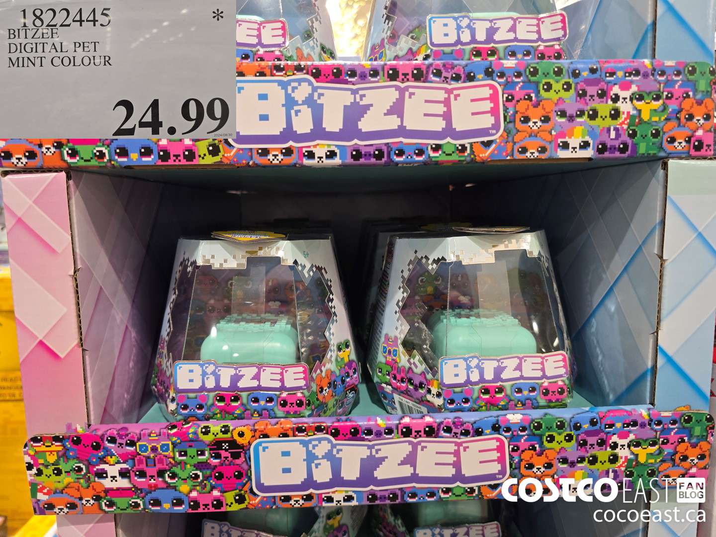 1822445 BITZEE DIGITAL PET MINT COLOUR $24.99
