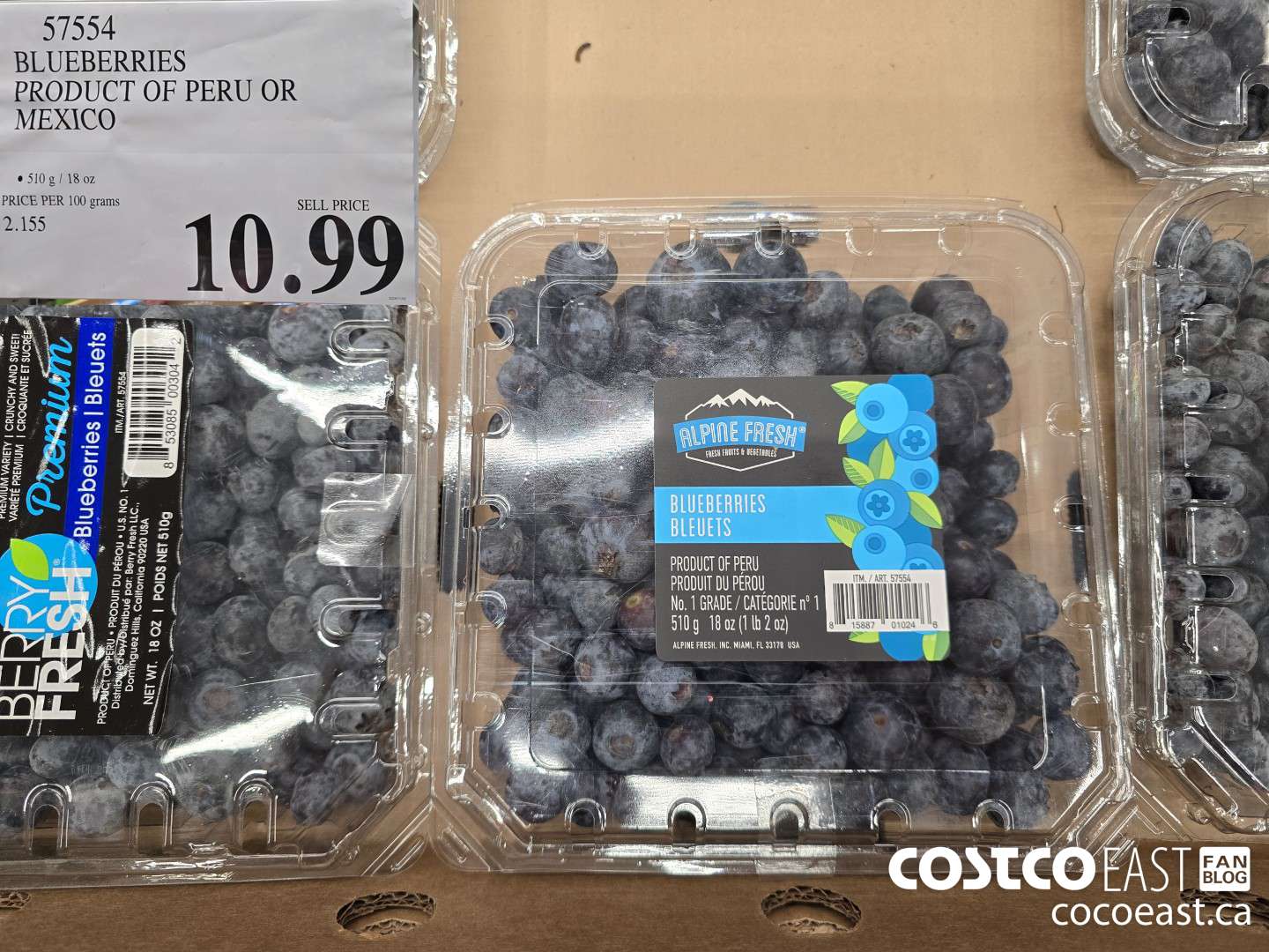 57554 BLUEBERRIES PRODUCT OF PERU OR MEXICO $10.99
