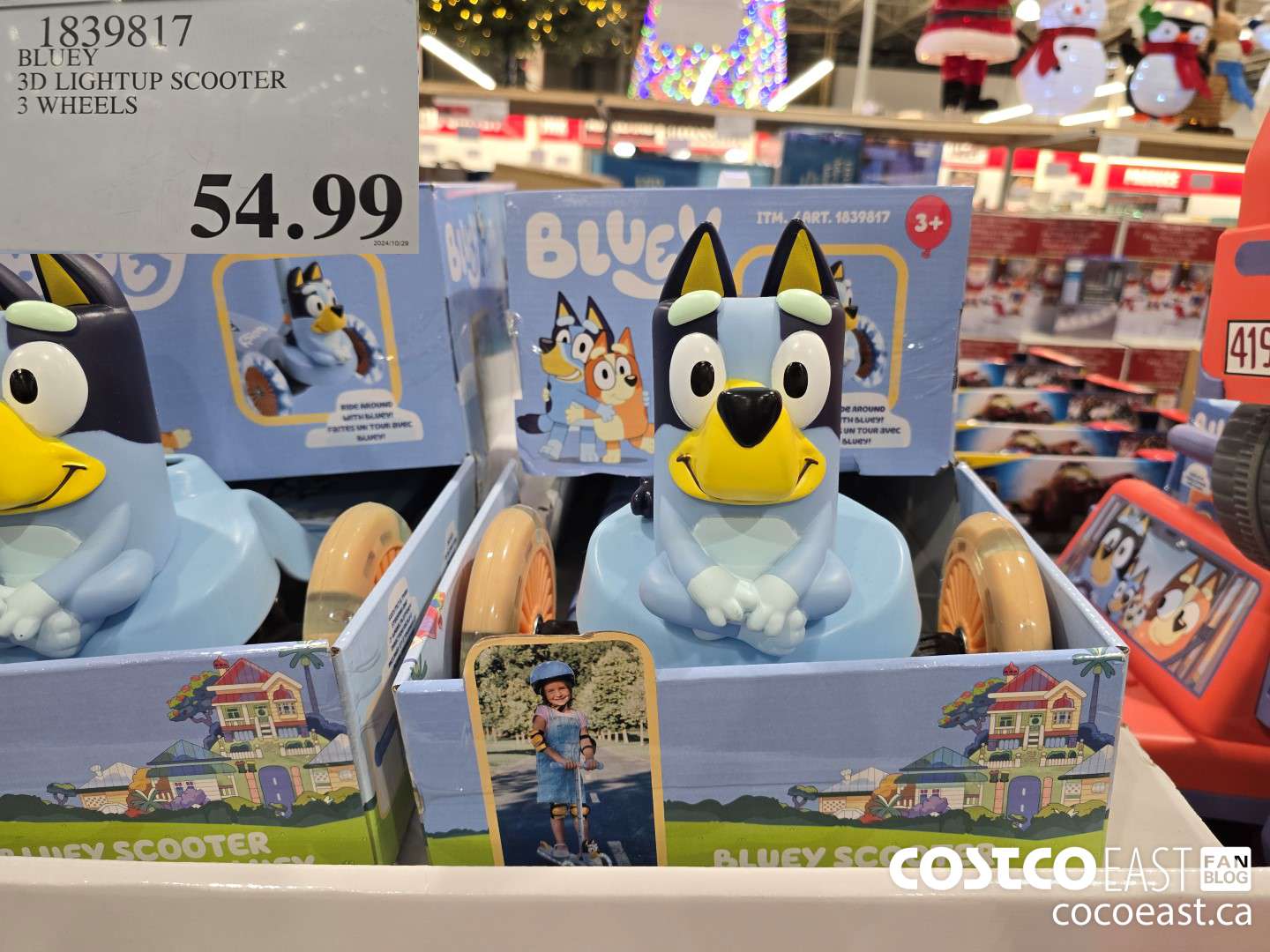 1839817 BLUEY 3D LIGHTUP SCOOTER 3 WHEELS $54.99