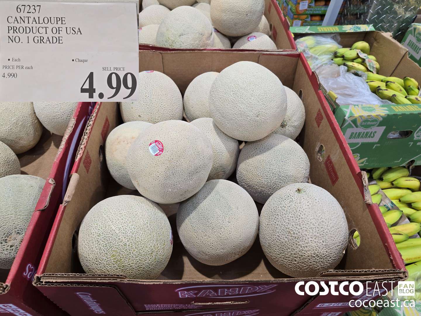 67237 CANTALOUPE PRODUCT OF USA NO. 1 GRADE $4.99
