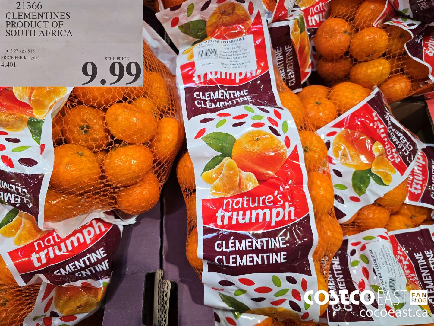 21366 CLEMENTINES PRODUCT OF SOUTH AFRICA $9.99
