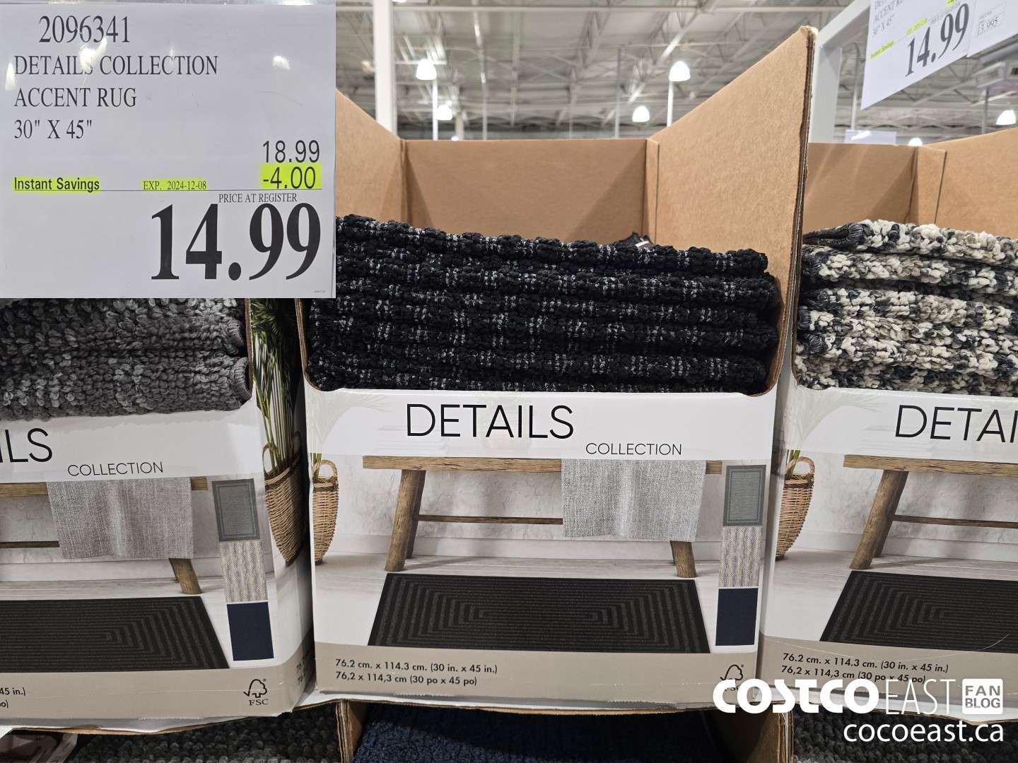 2096341 DETAIL. COLLECTION ACCENT RUG 30