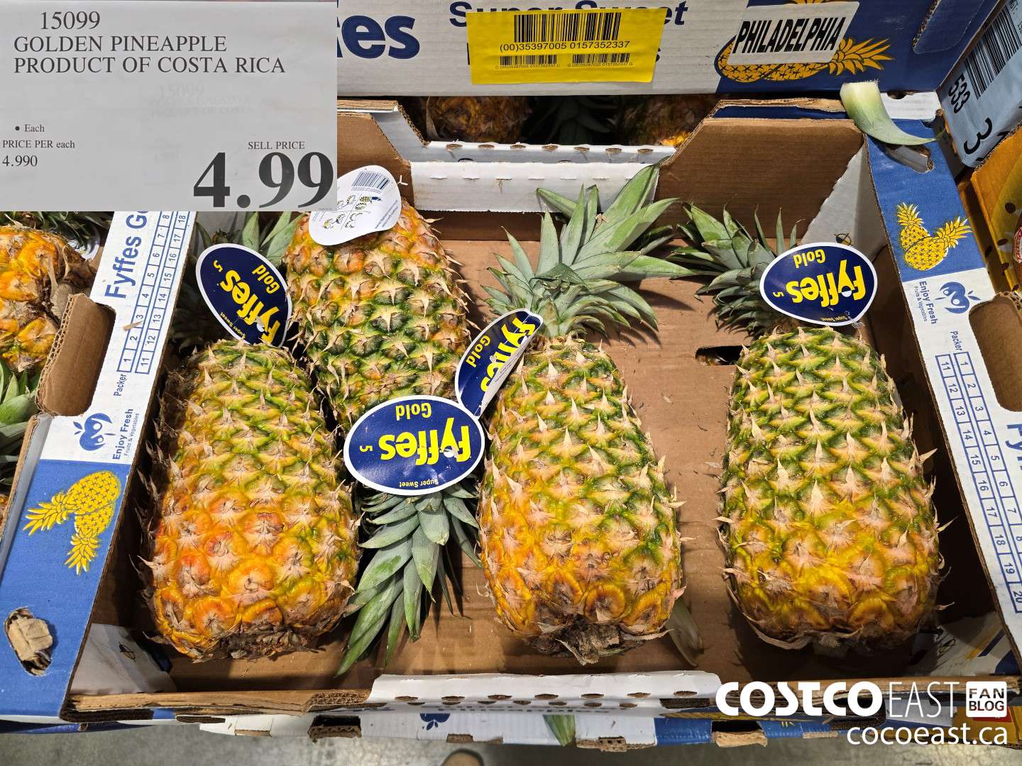 15099 GOLDEN PINEAPPLE PRODUCT OF COSTA RICA $4.99