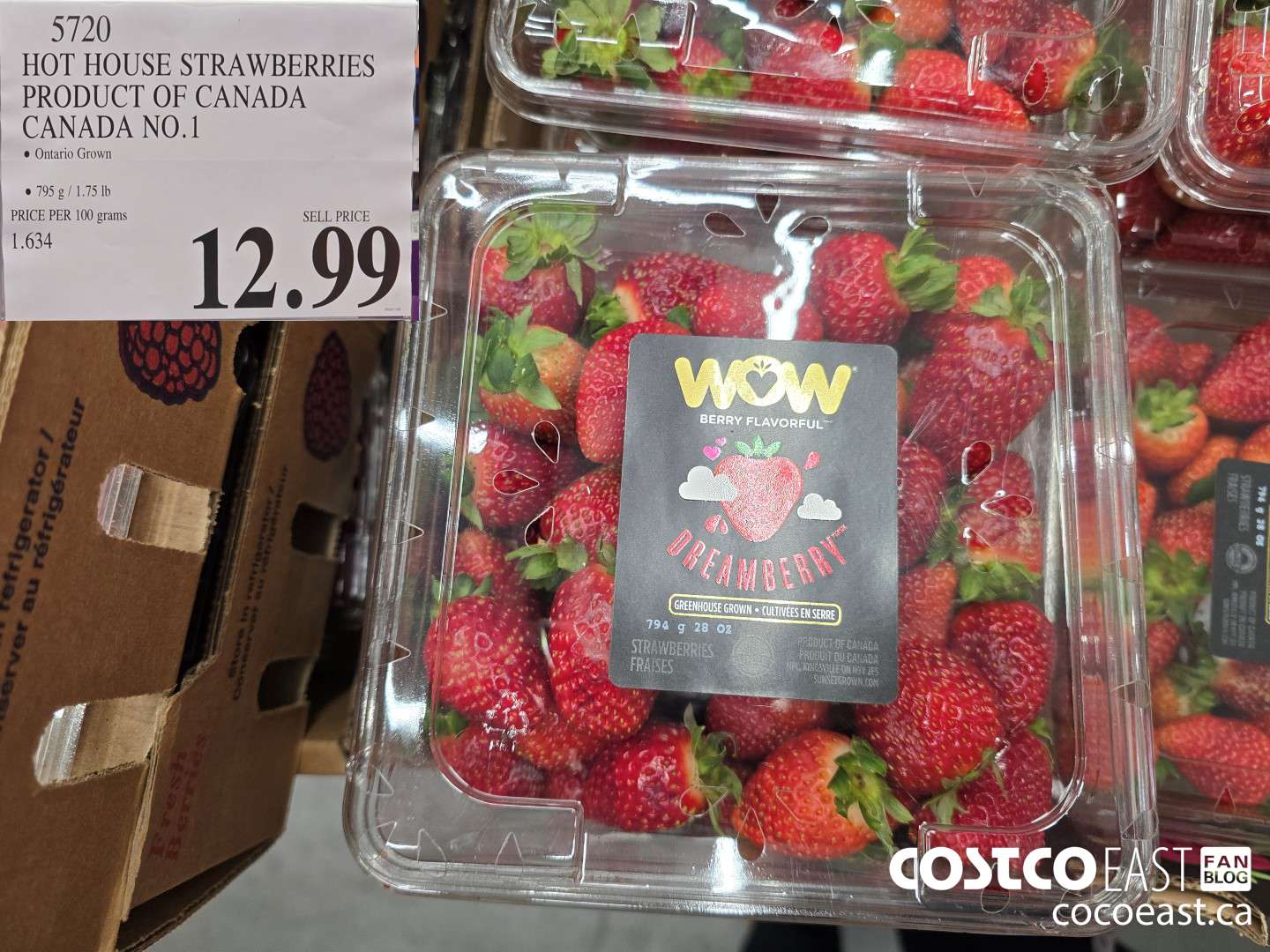 5720 HOT HOUSE STRAWBERRIES PRODUCT OF CANADA CANADA NO.1 $12.99
