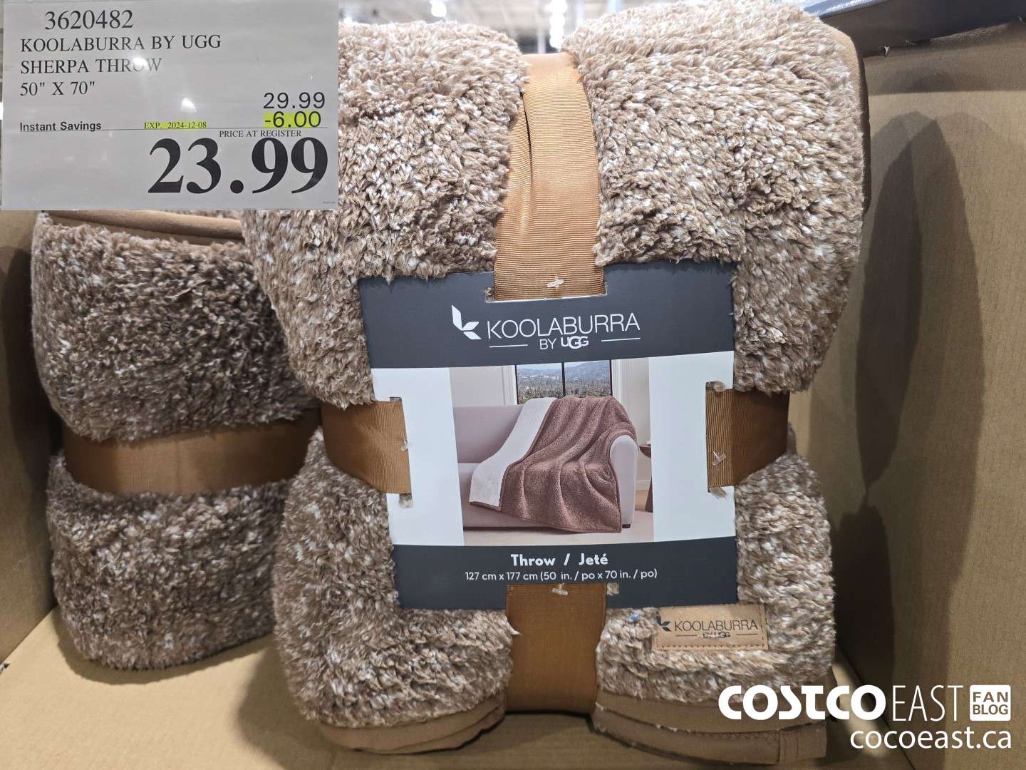 3620482 KOOLABURRA BY UGG SHERPA THROW 50