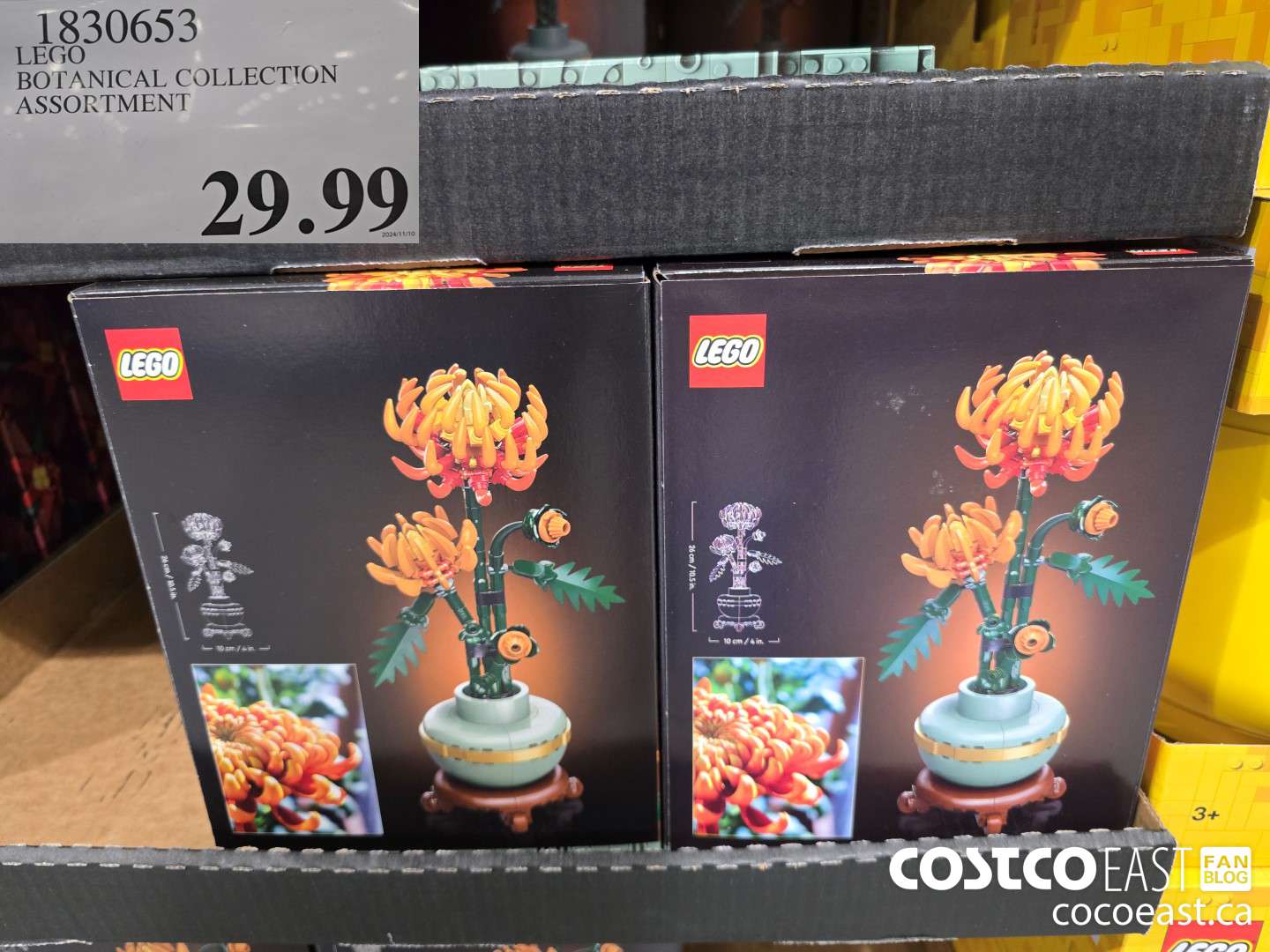 1830653 LEGO BOTANICAL COLLECTION ASSORTMENT $29.99