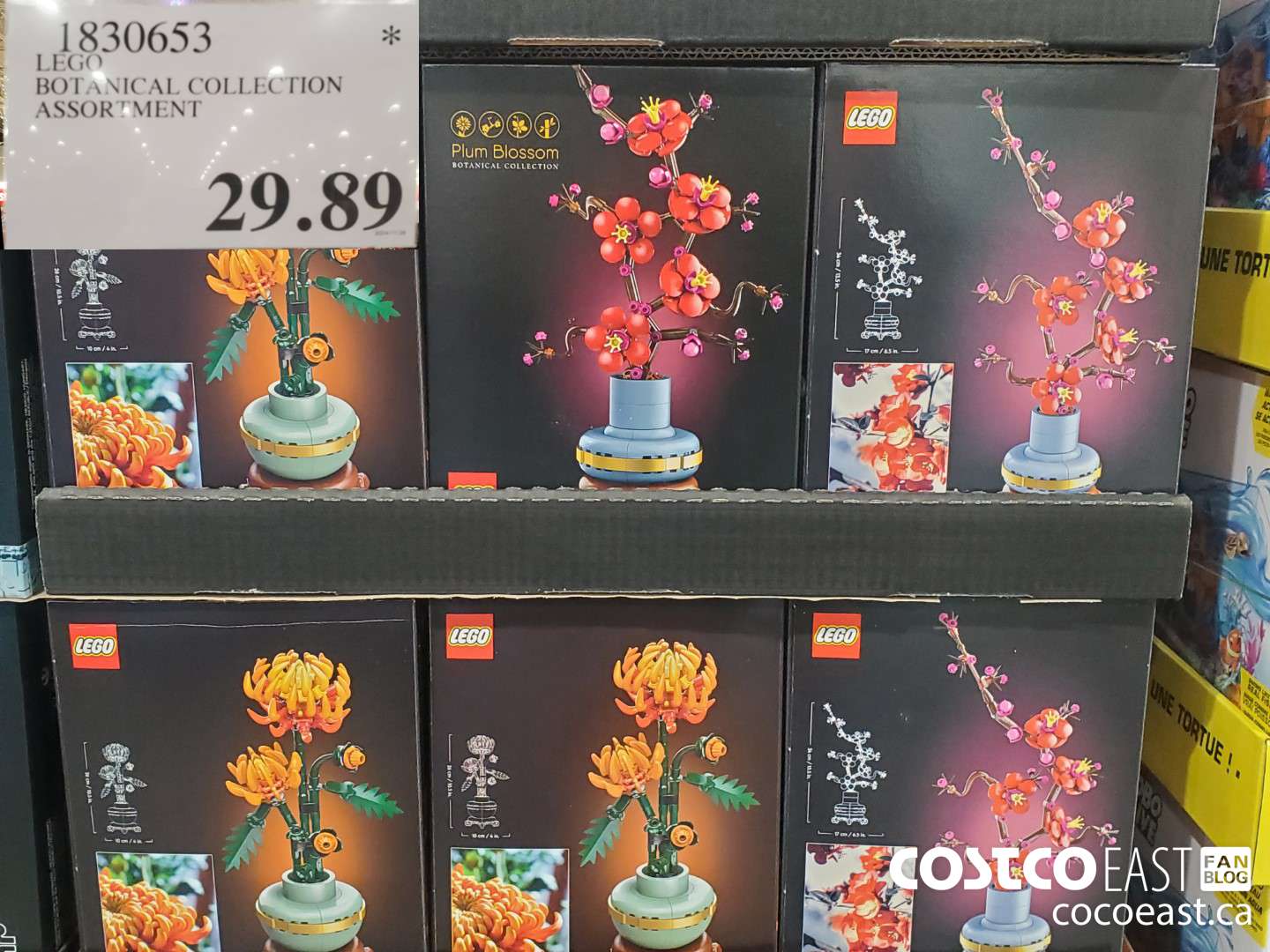 1830653 LEGO BOTANICAL COLLECTION ASSORTMENT $29.99