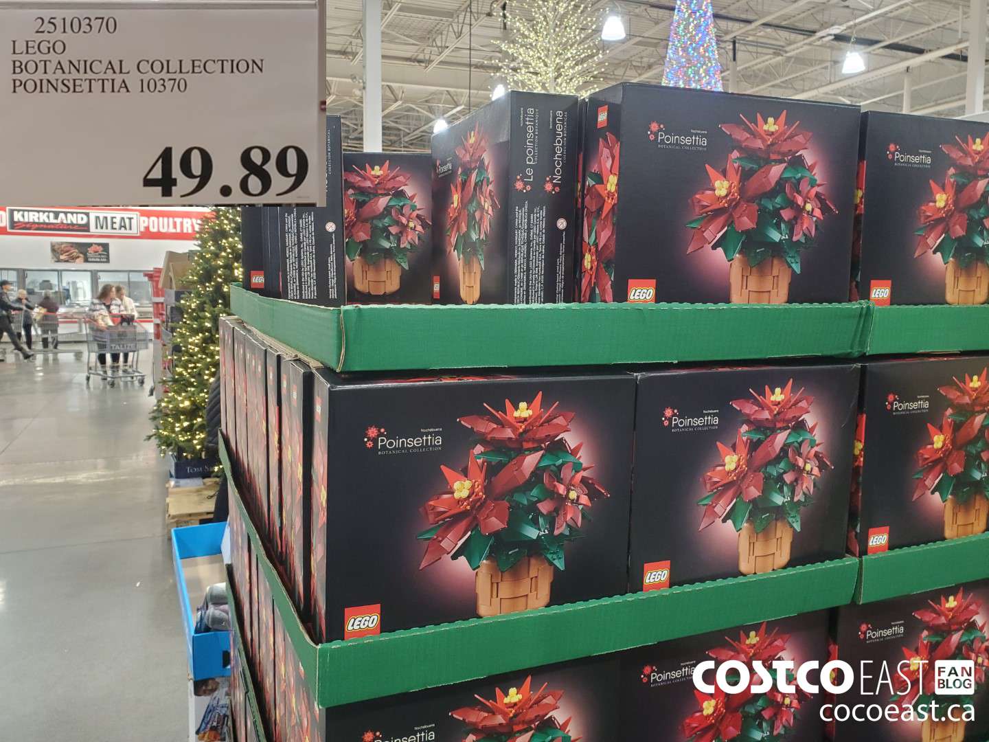 2510370 LEGO ICONS BOTANICAL COLLECTION POINSETTIA 10370 $49.89