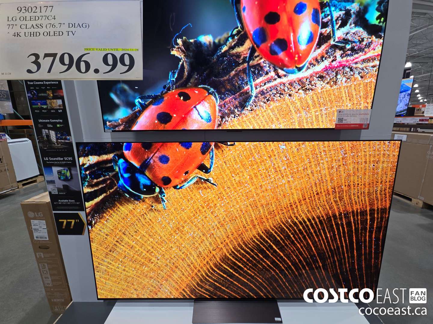 9302177 LG OLED77C4 77