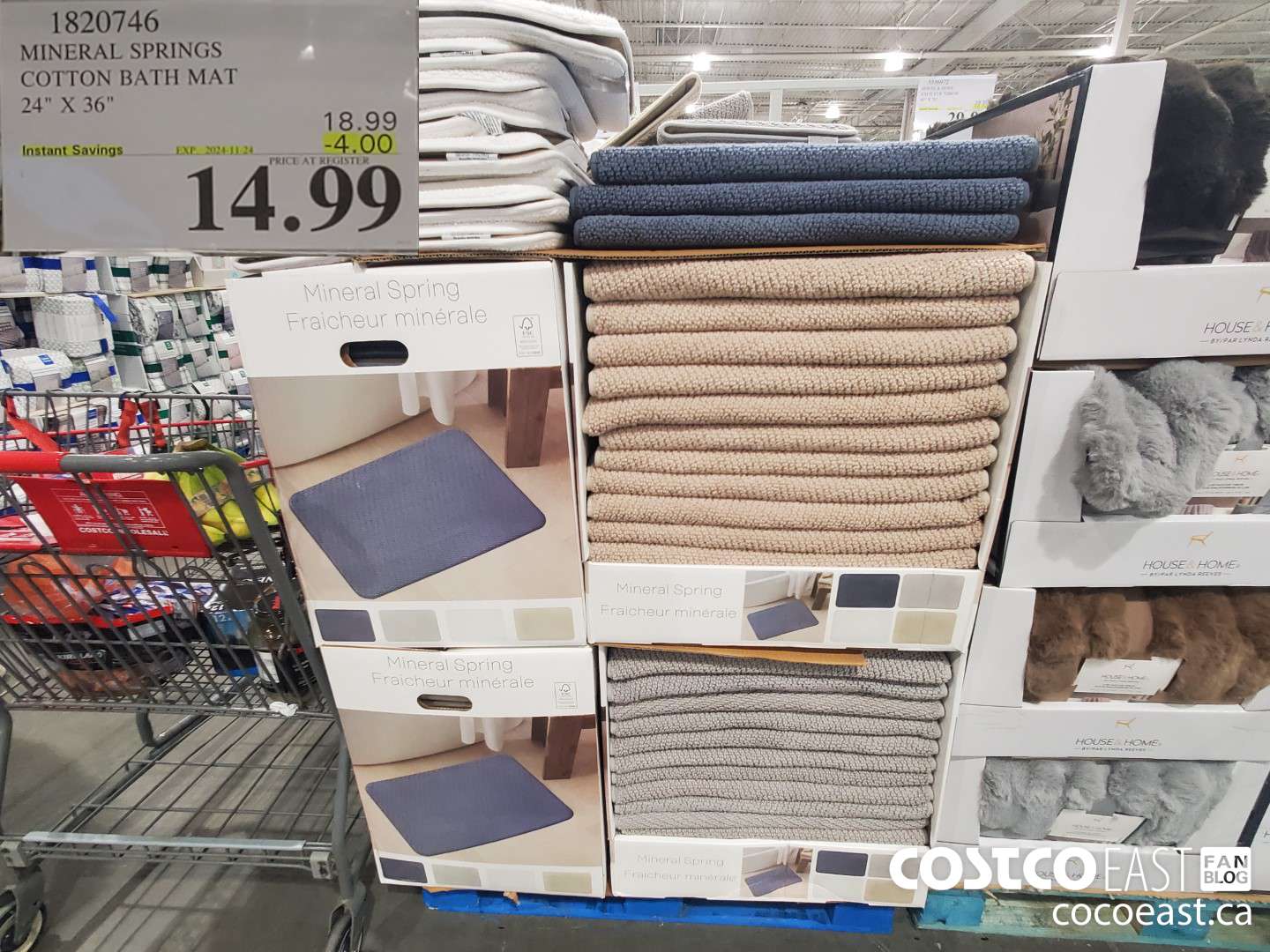 1820746 MINERAL SPRINGS COTTON BATH MAT 24