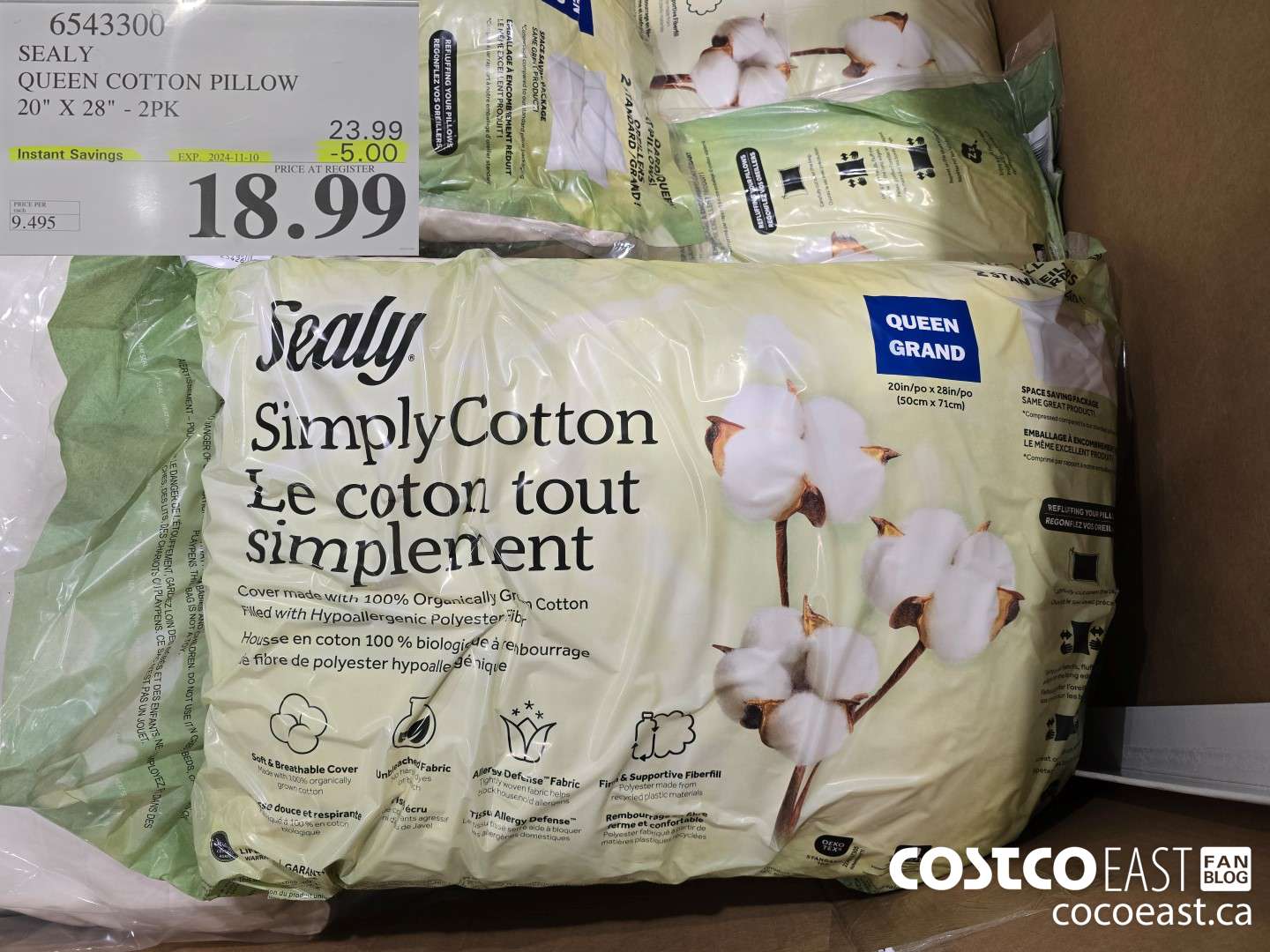 6543300 SEALY QUEEN COTTON PILLOW 20