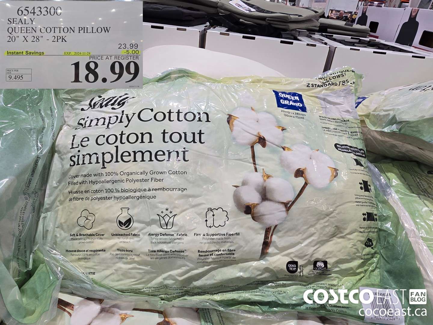 6543300 SEALY QUEEN COTTON PILLOW 20