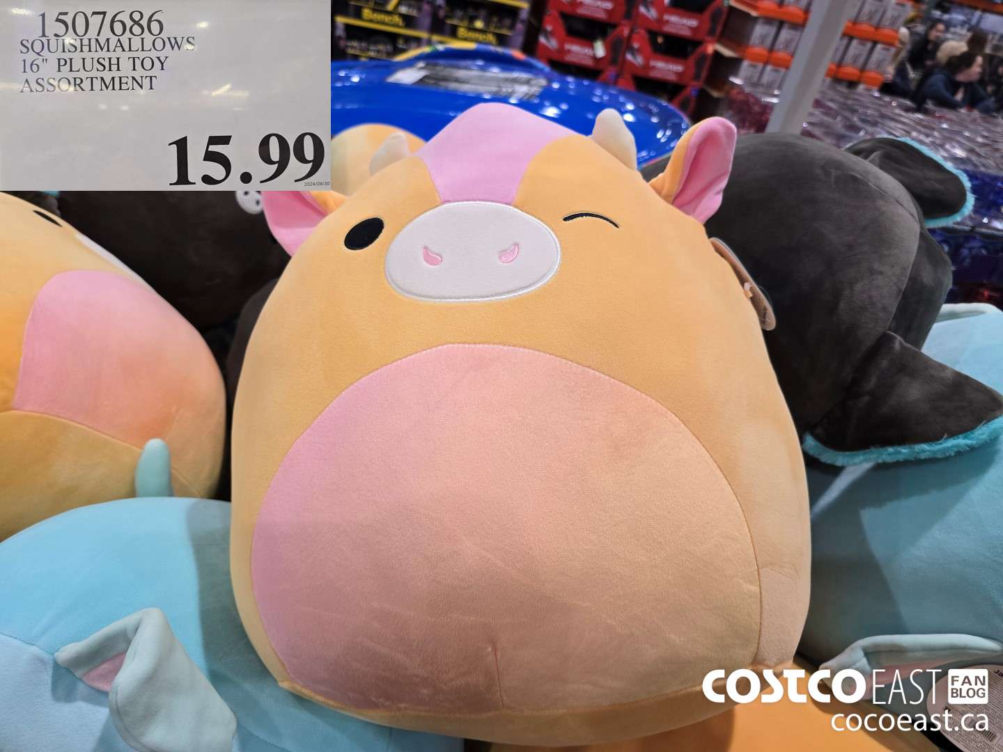 1507686 SQUISHMALLOWS 16