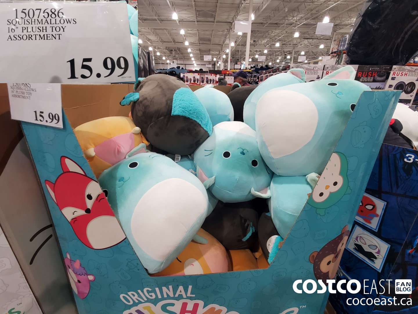 1507686 SQUISHMALLOWS 16