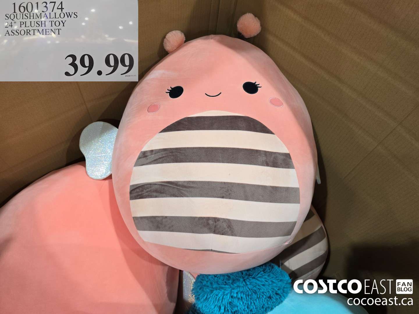 1601374 SQUISHMALLOWS 24