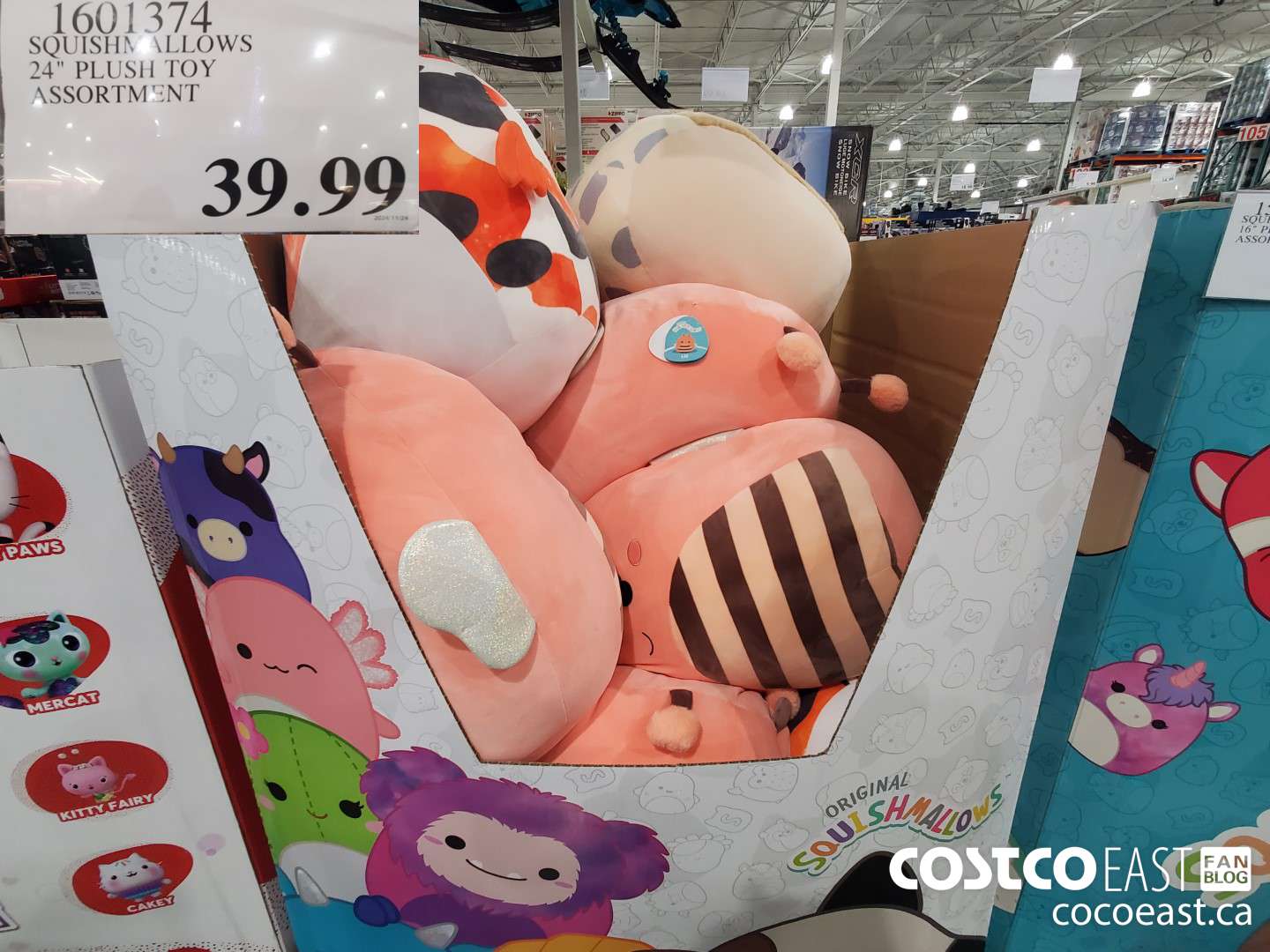 1601374 SQUISHMALLOWS 24