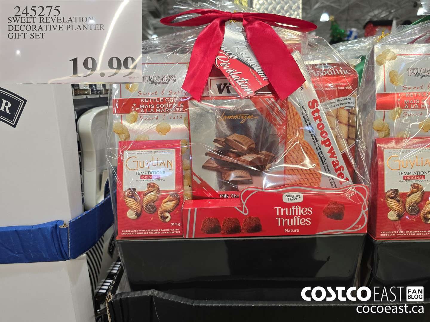 245275 SWEET REVELATION DECORATIVE PLANTER GIFT SET $19.99