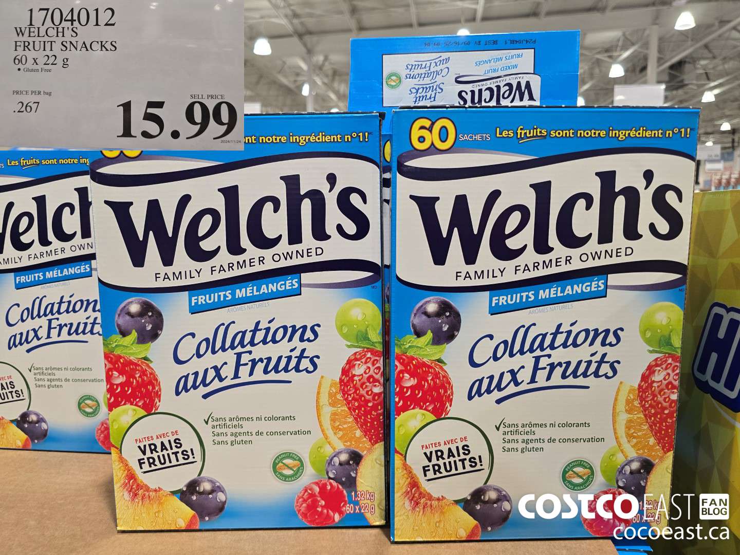 1704012 WELCH'S FRUIT SNACKS 60 X 22 G $15.99