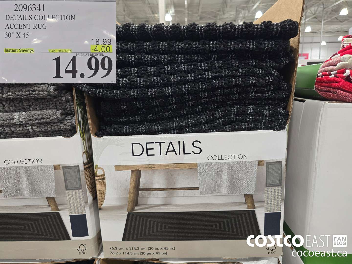 2096341 DETAIL. COLLECTION ACCENT RUG 30