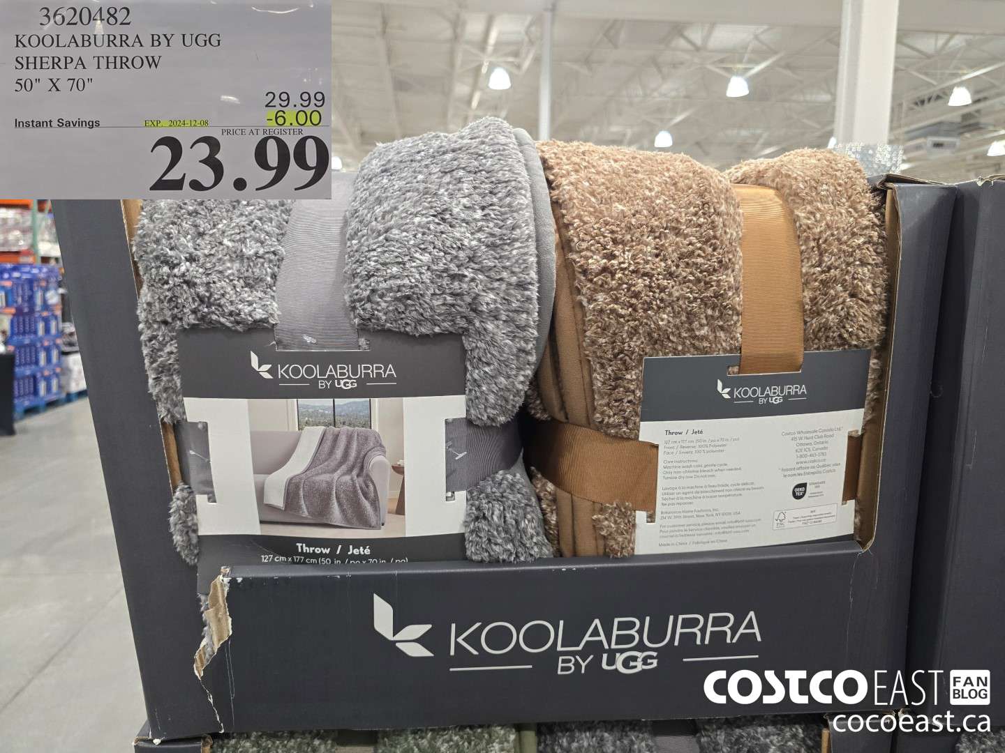 3620482 KOOLABURRA BY UGG SHERPA THROW 50